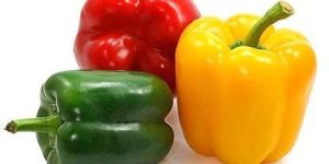 Fresh Capsicum