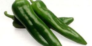 Fresh Green Chilli