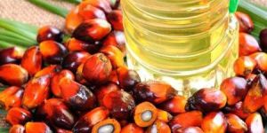 Palm Oil