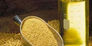 Soyabean Oil