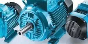 Electric Induction Motor