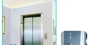 Auto Door Passenger Elevator