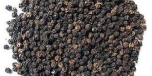 Black Pepper Seeds
