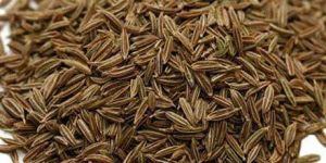 Cumin Seeds
