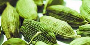Green Cardamom