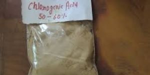 Green Coffee Bean Extract