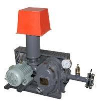 Twin Lobe Rotary Compressor