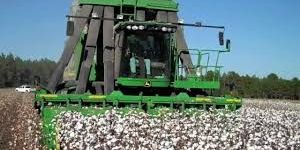 Cotton Picking Machine