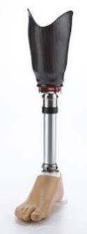 below Knee Prosthesis