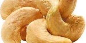 Cashew Nuts