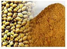 Coriander Powder