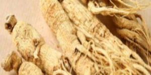 Withania Somnifera Plant