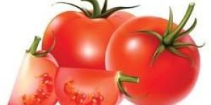 Fresh Tomato