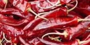 Dried Red Chilli