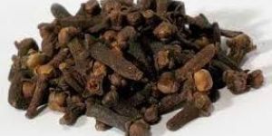 Clove Pods