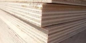 Commercial Plywood