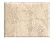 Digital Bathroom Tiles