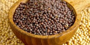 Black Mustard Seeds (Sarso)