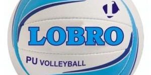 Hand Sewn PU Volleyball