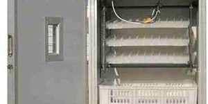 Bod Incubator