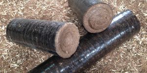 Biomass Briquettes