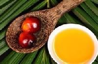 Palm Kernel Oil
