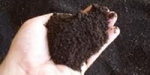 Vermicompost