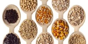 Food Grains