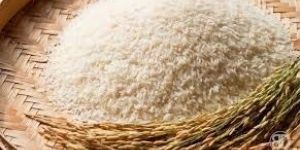 Sugandha Sella White Rice