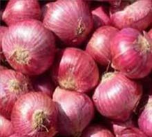 Red Onion