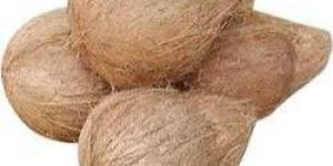 Semi Husked Coconut