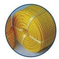 PP Danline Rope