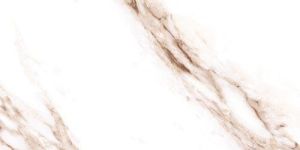 24 X 24 Glossy Series Digital Floor Tiles