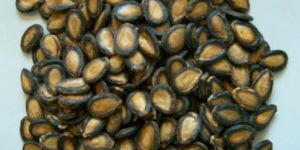Watermelon Seeds