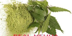 Neem Powder