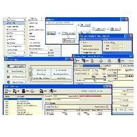 Tally Accounting Software
