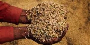 Travel Service, Taxis, Tours Service