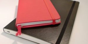Executive Diary