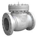 Swing Check Valve