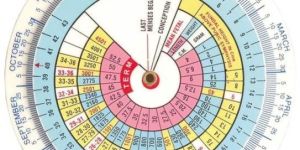 Pregnancy Calculator