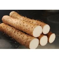 Fresh Yam