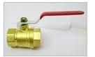 Brass Valves
