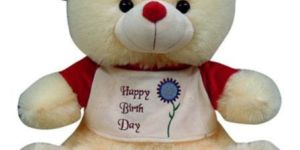 Valentine Teddy Bears