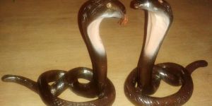 Wooden Snake Statue