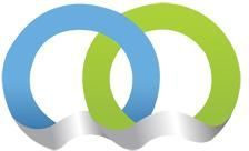 Web Development Service