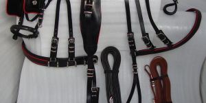 Gypsy Harness Sets