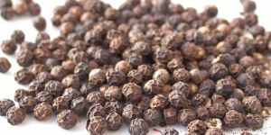 Piper Nigrum