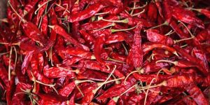 Dried Red Chilli