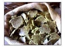 Cotton Seed Oil Cake