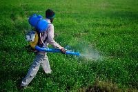 Agricultural Fertilizers